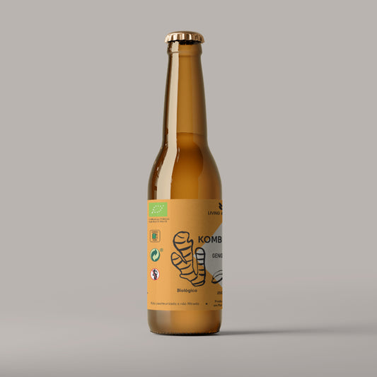 Kombucha Gengibre