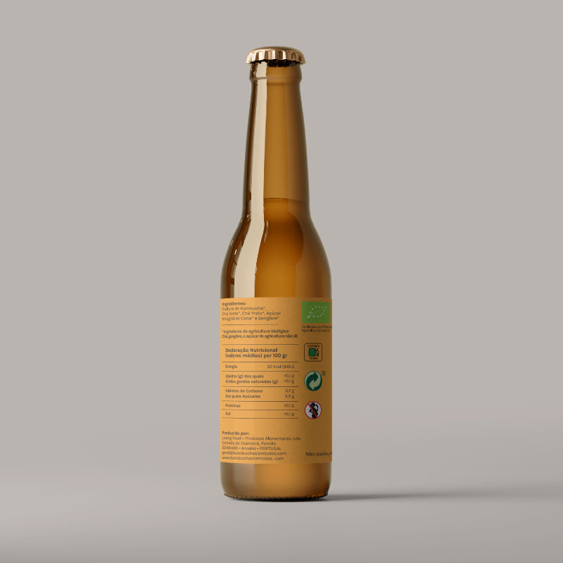 Kombucha Gengibre