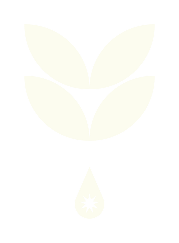 KombuchaComTodos